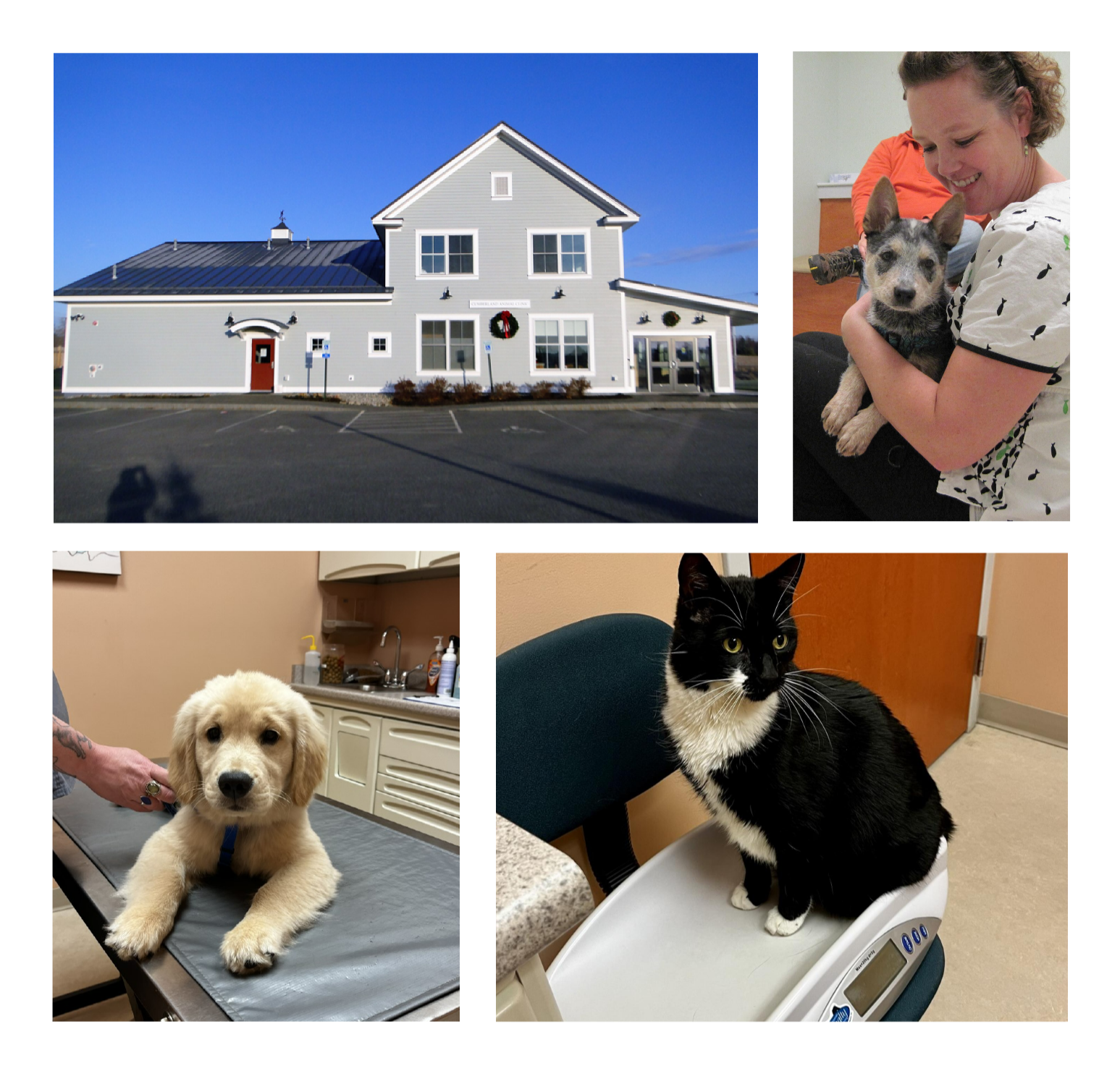 Best Veterinary Hospital In Cumberland Center, ME 04021